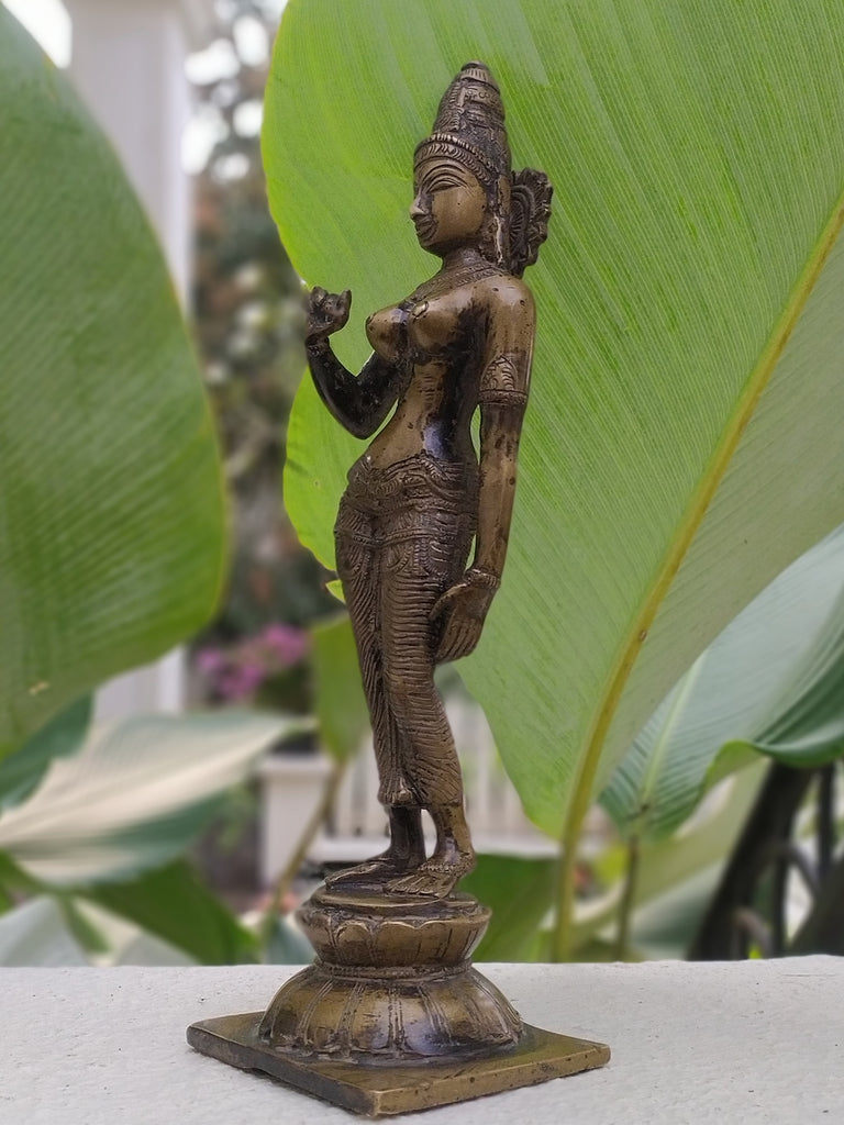 Vintage Divine Brass Sculpture Of Parvati - Goddess of Fertility, Love & Devotion. Height 33 cm