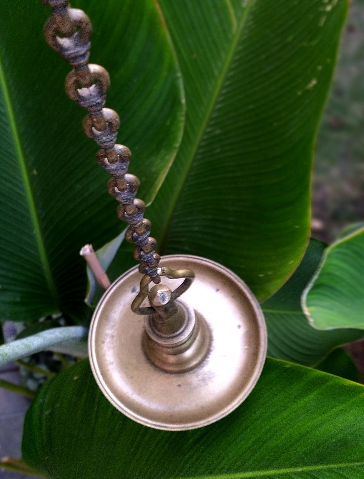 Heritage Brass Oil Lamp - "Thooku Vilakku" From South India. Length 103 cm x Diameter 16 cm