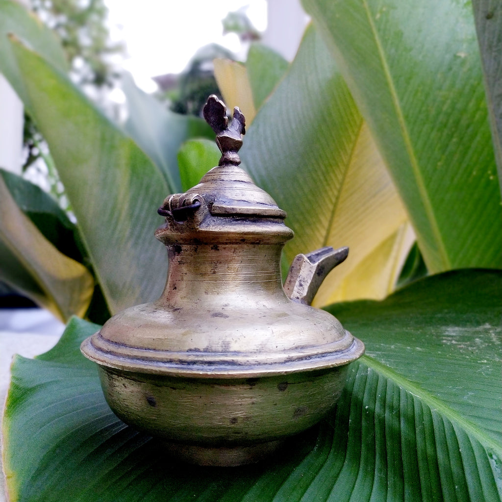 Vintage Brass Ghee Daan With Spout From South India, Ht 15 cm x Length 16 cm