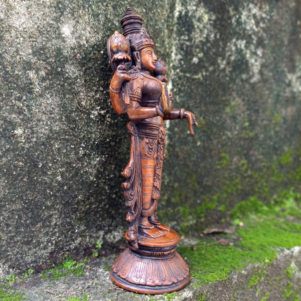 Brass Sculpture of Lakshmi - Goddess Of Wealth .  Ht 32 cm x Width 15 cm