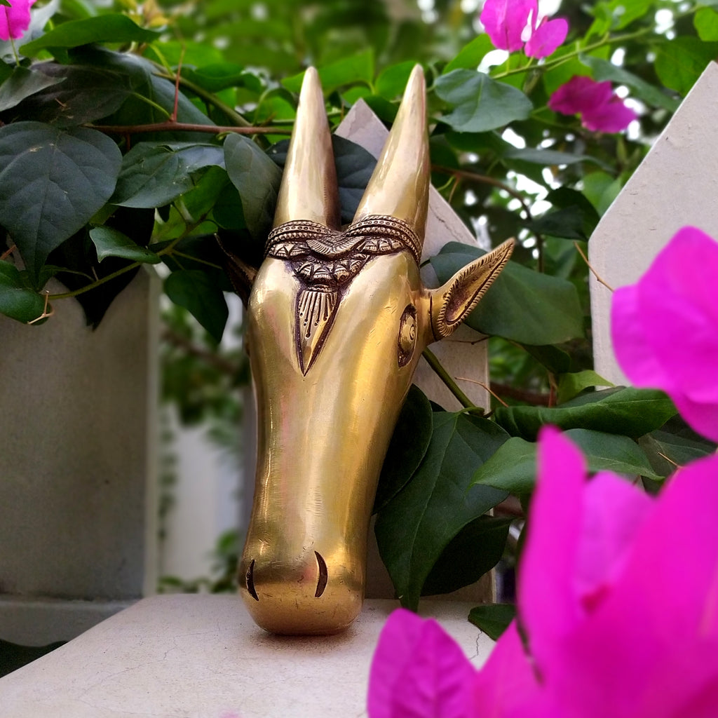 Majestic Handcrafted Brass Nandi Bull - Vahan Of Lord Shiva. Height 29 cm x Width 15 cm x Depth 7 cm