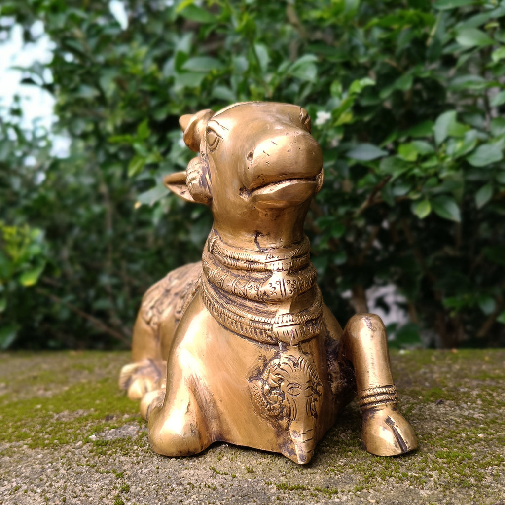 Brass Nandi - Vahan | Vehicle Of Lord Shiva. Length 28 cm x Height 17 cm